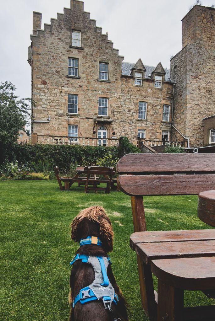 img20240817151634 (1)4525172355483081195.