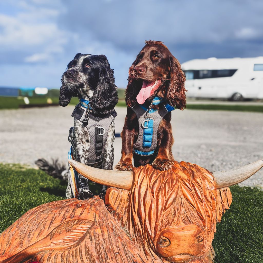 img202408181642011258692397983255256