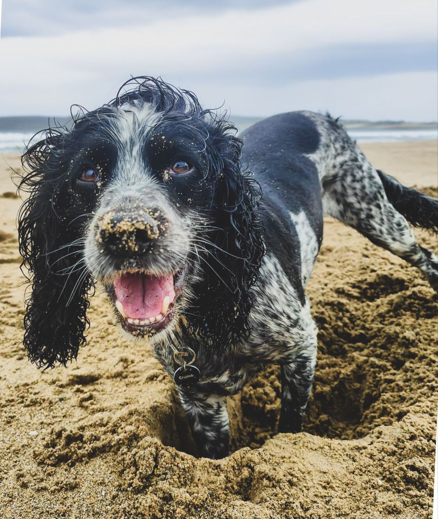 img20240819110731779723882399378165