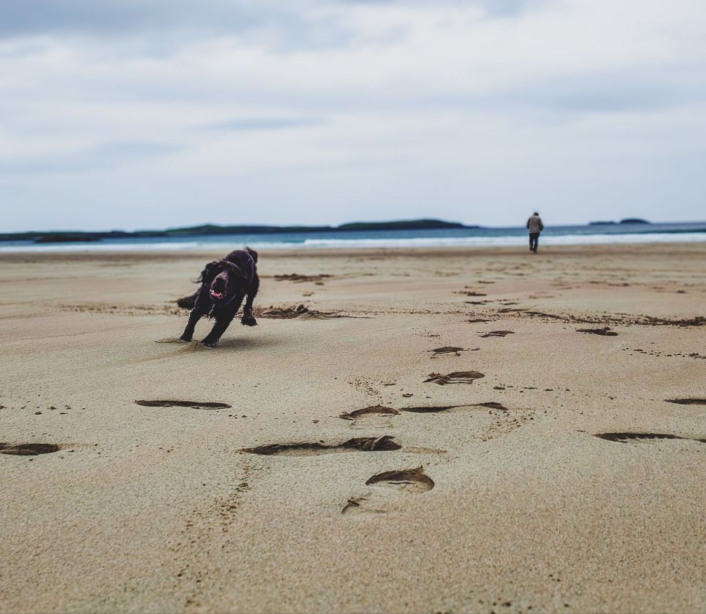 img202408191515257861512776342088703