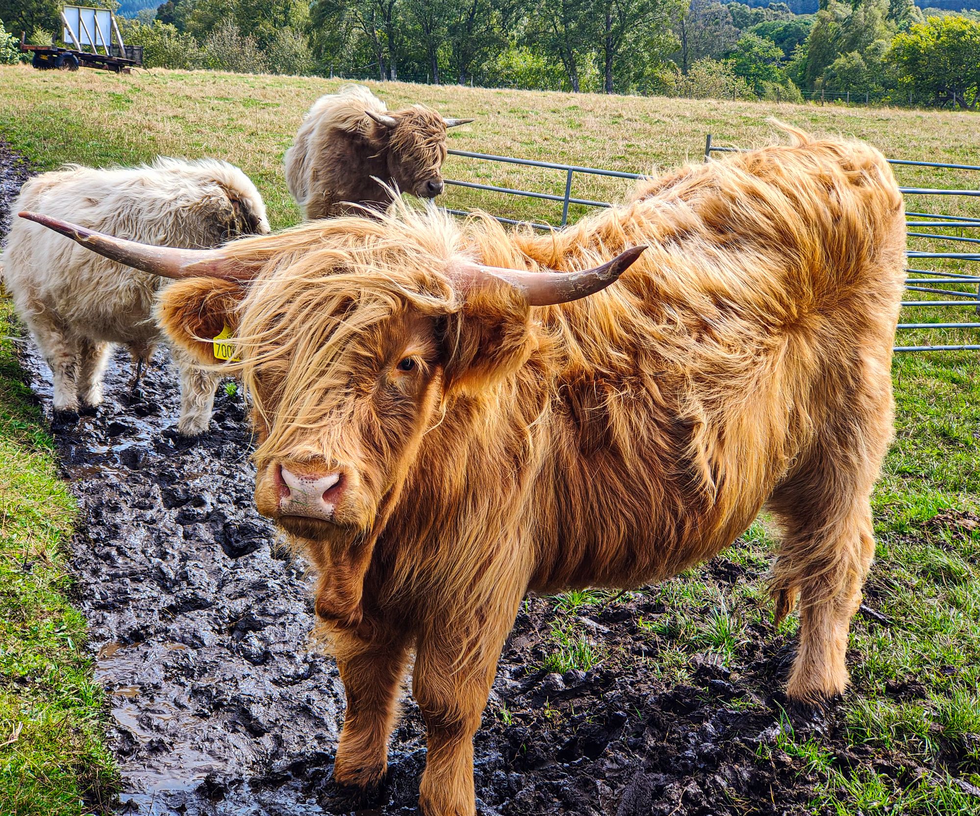 img202408221129226633884224437084086