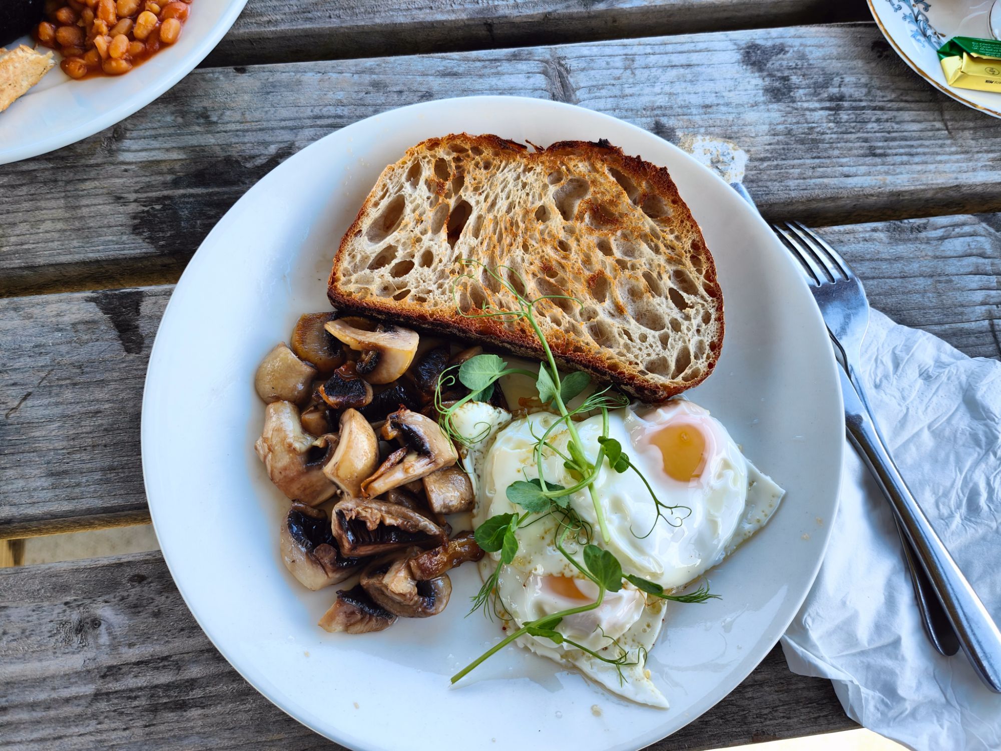 img20240823110131848591552882694672