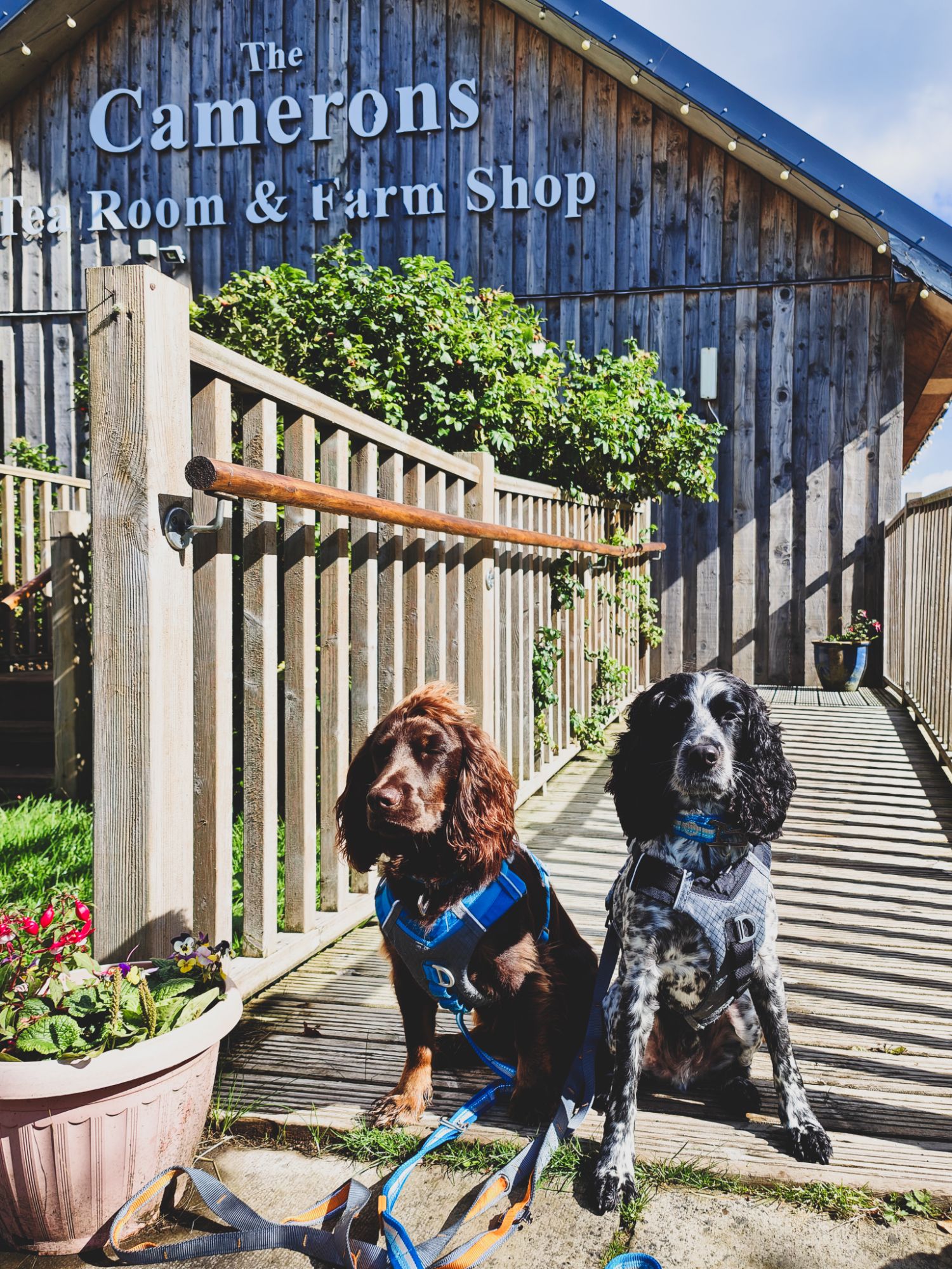 img202408231112421456277911387344996