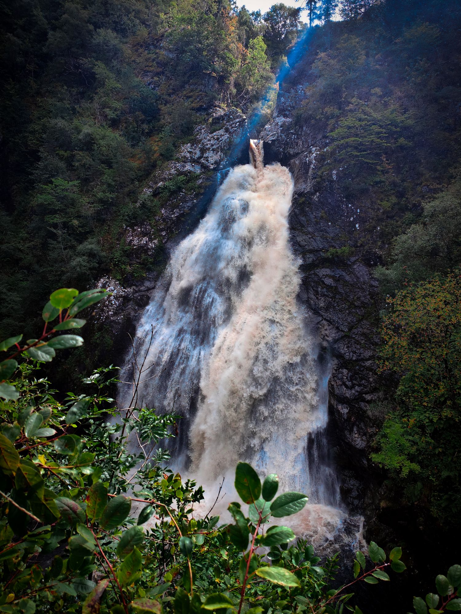 img20240823113521 (1)3744094298477458282.