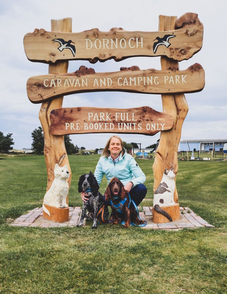 wp-17275311664186307788121962402956