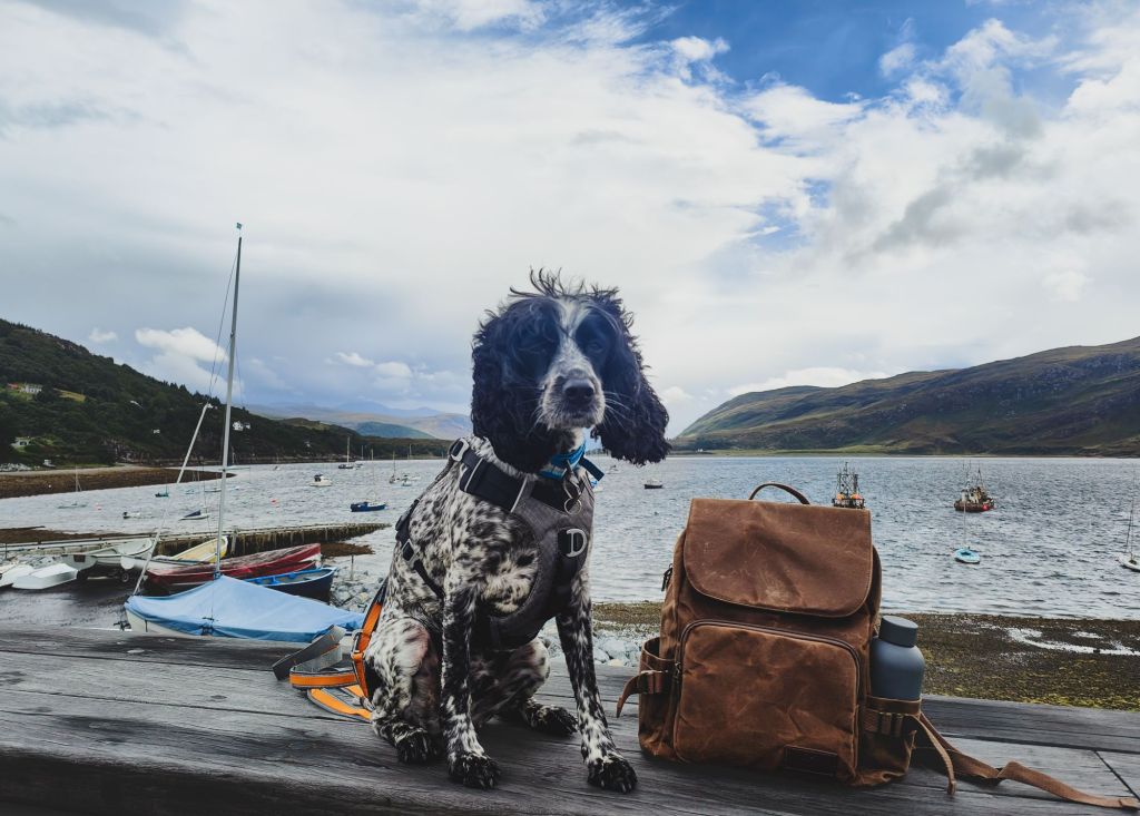 wp-17275427284423075710082624411043