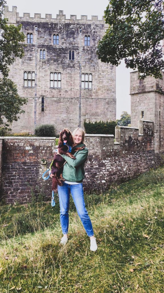 wp-17293537094453234132050266761501