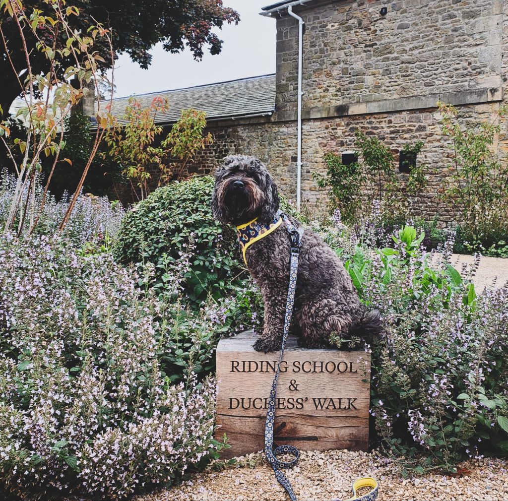 wp-17293537096258190263008890485320