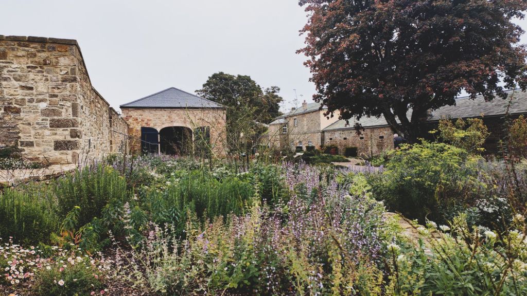 wp-17293537097961105208847699001669