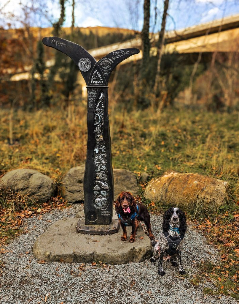 wp-17336843244012273732083383331815