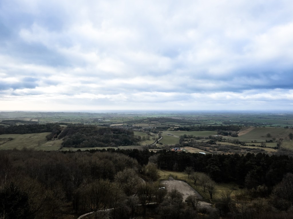 wp-17415445098527348674417479066690