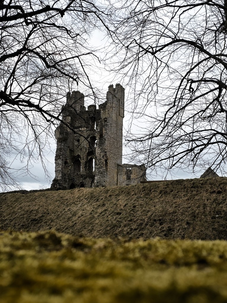 wp-17415465953103346113450512725212