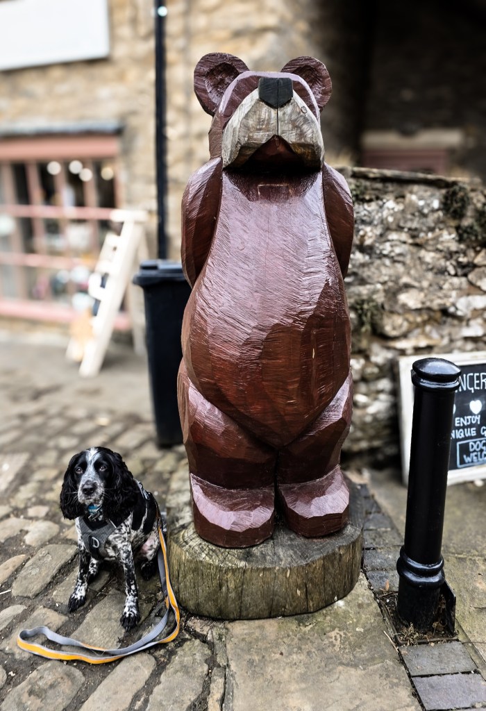 wp-17415465958921852318291397774368