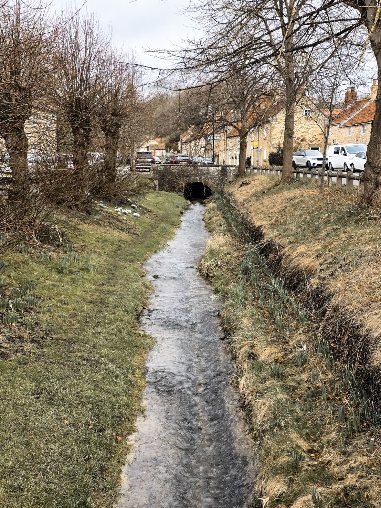 wp-174154659600345617407053619078