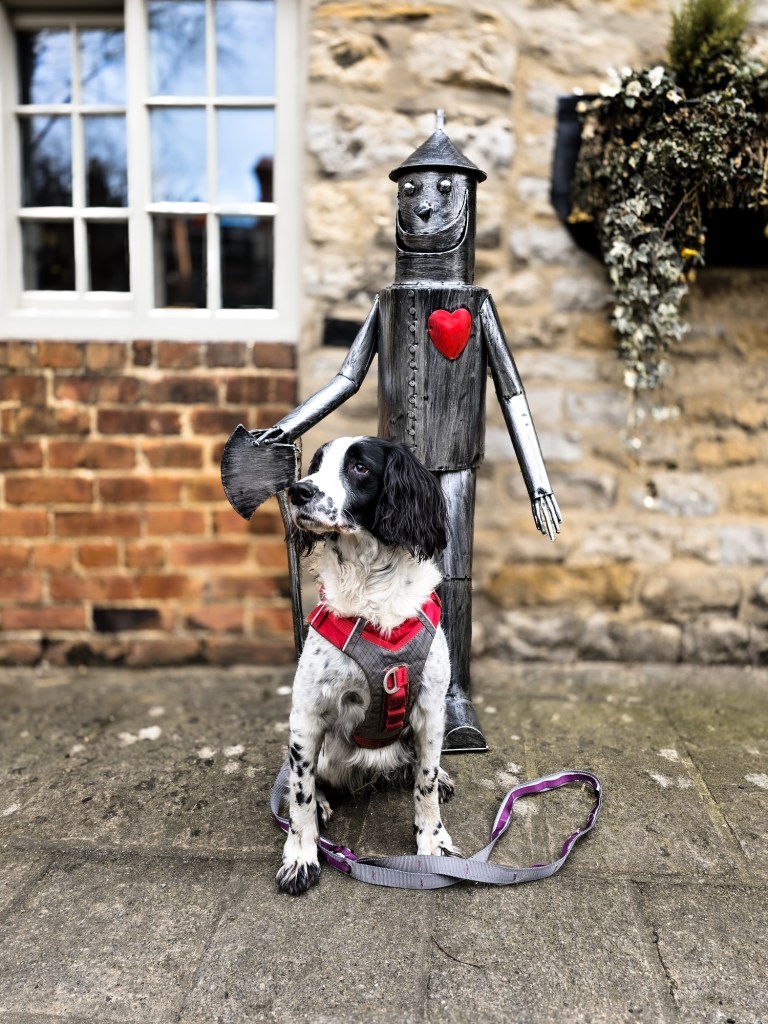 wp-17415465965928327274514657917404