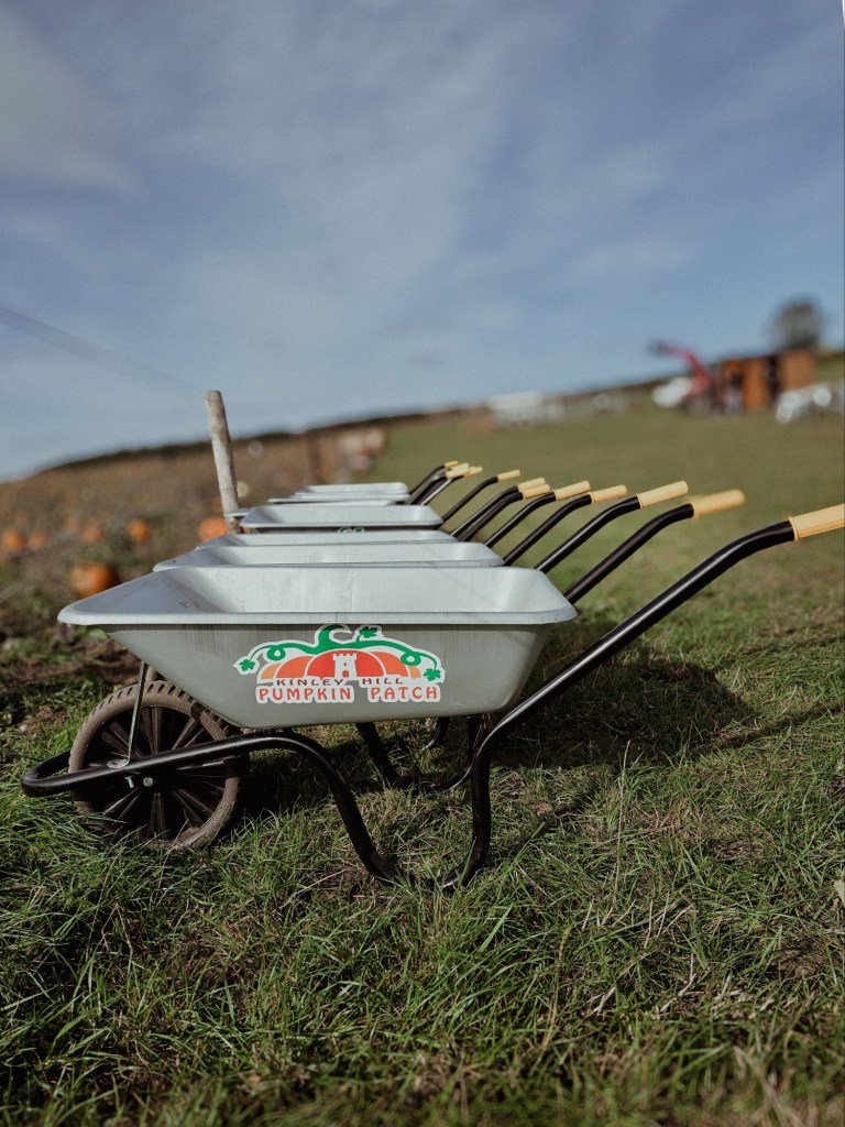 wp-1760811714830102394770511684985