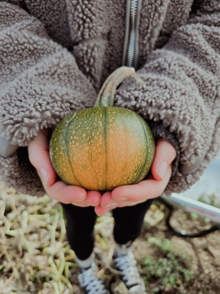 wp-17608117153638394988012880338281