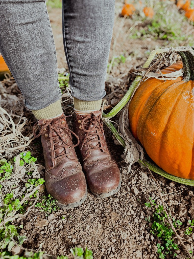 wp-17608117160078368427073746956304