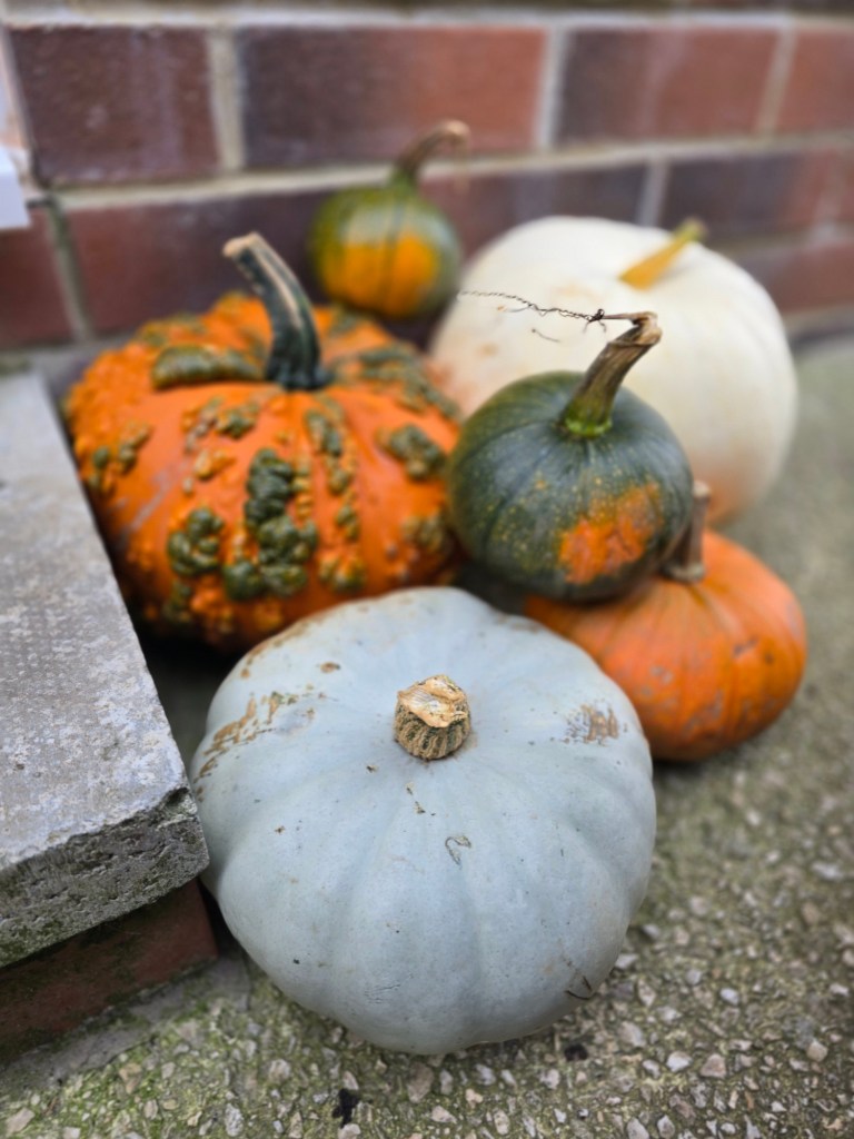 wp-1760812712454735468081425042477