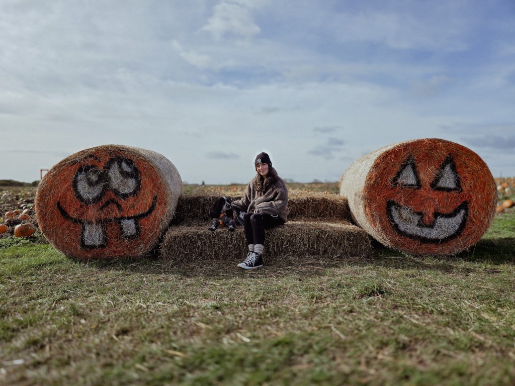 wp-17608130887907603797892184591295