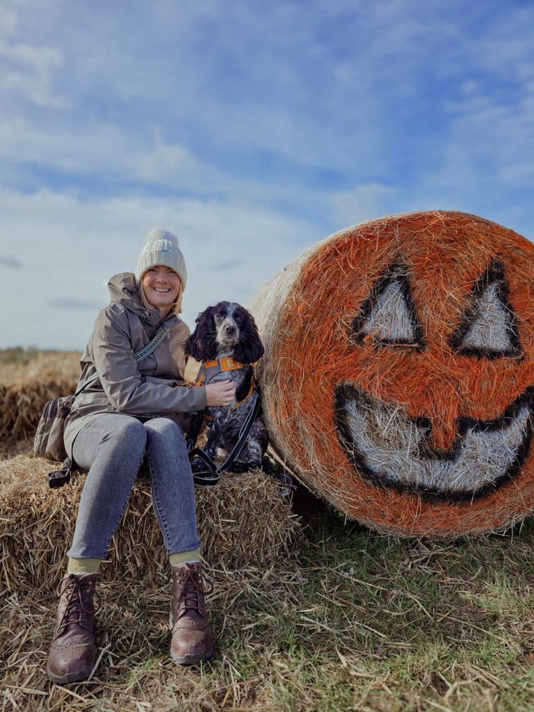 wp-1760813089303548838850539848270