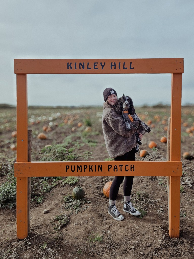 wp-1760813089495272556744521328881