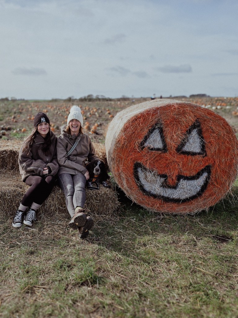 wp-17608130897016310235431782942404