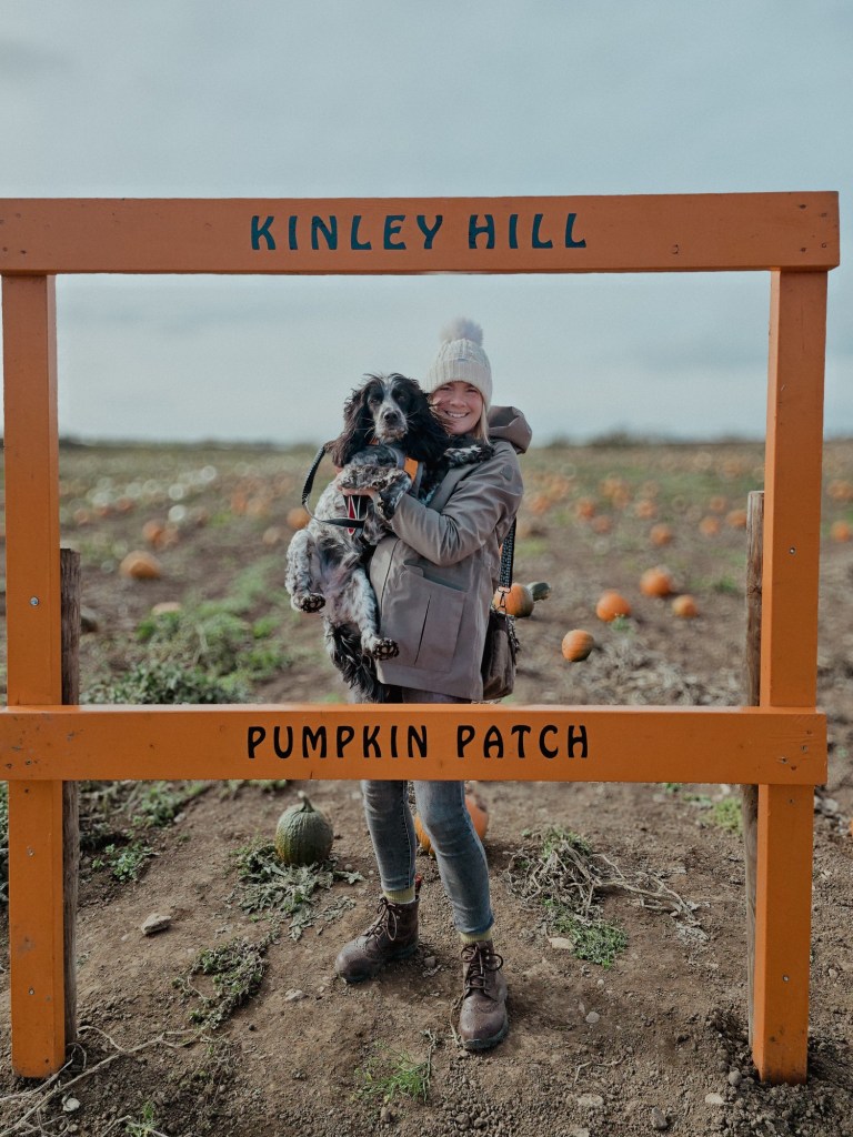 wp-17608130898718312386764709930543